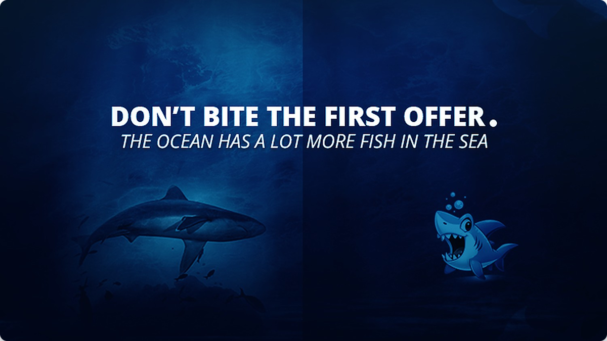 Where Freight Meets Sharks — issue #01
