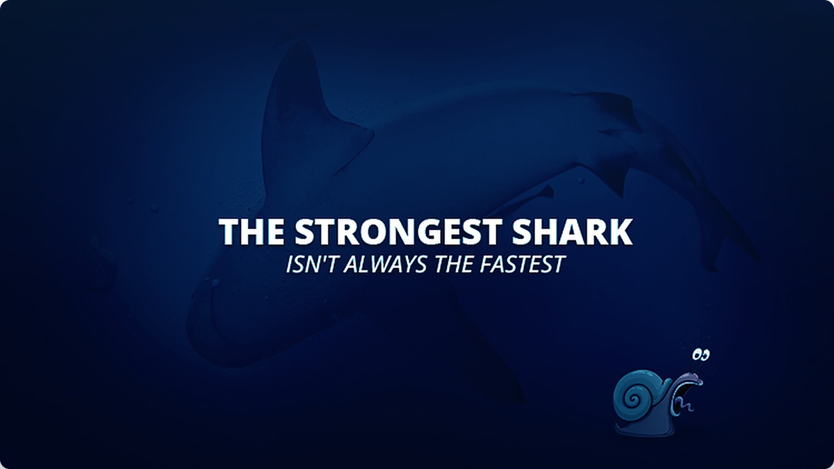 Where Freight Meets Sharks — issue #03
