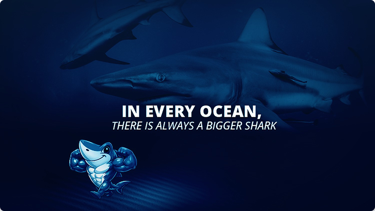 Where Freight Meets Sharks — issue #05
