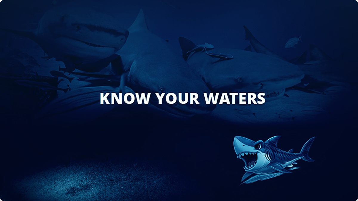 Where Freight Meets Sharks — issue #06