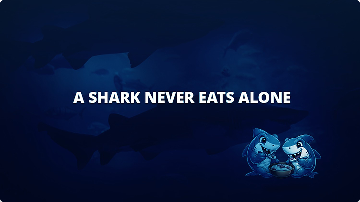 Where Freight Meets Sharks — issue #07