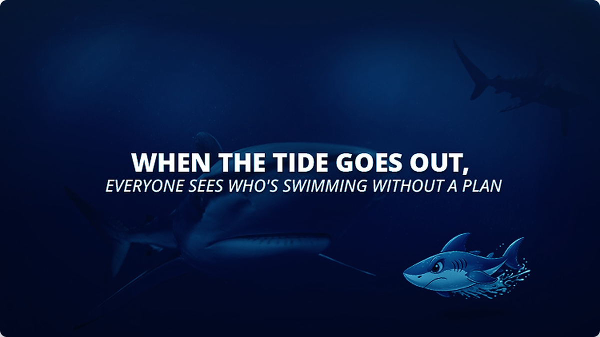 Where Freight Meets Sharks — issue #08
